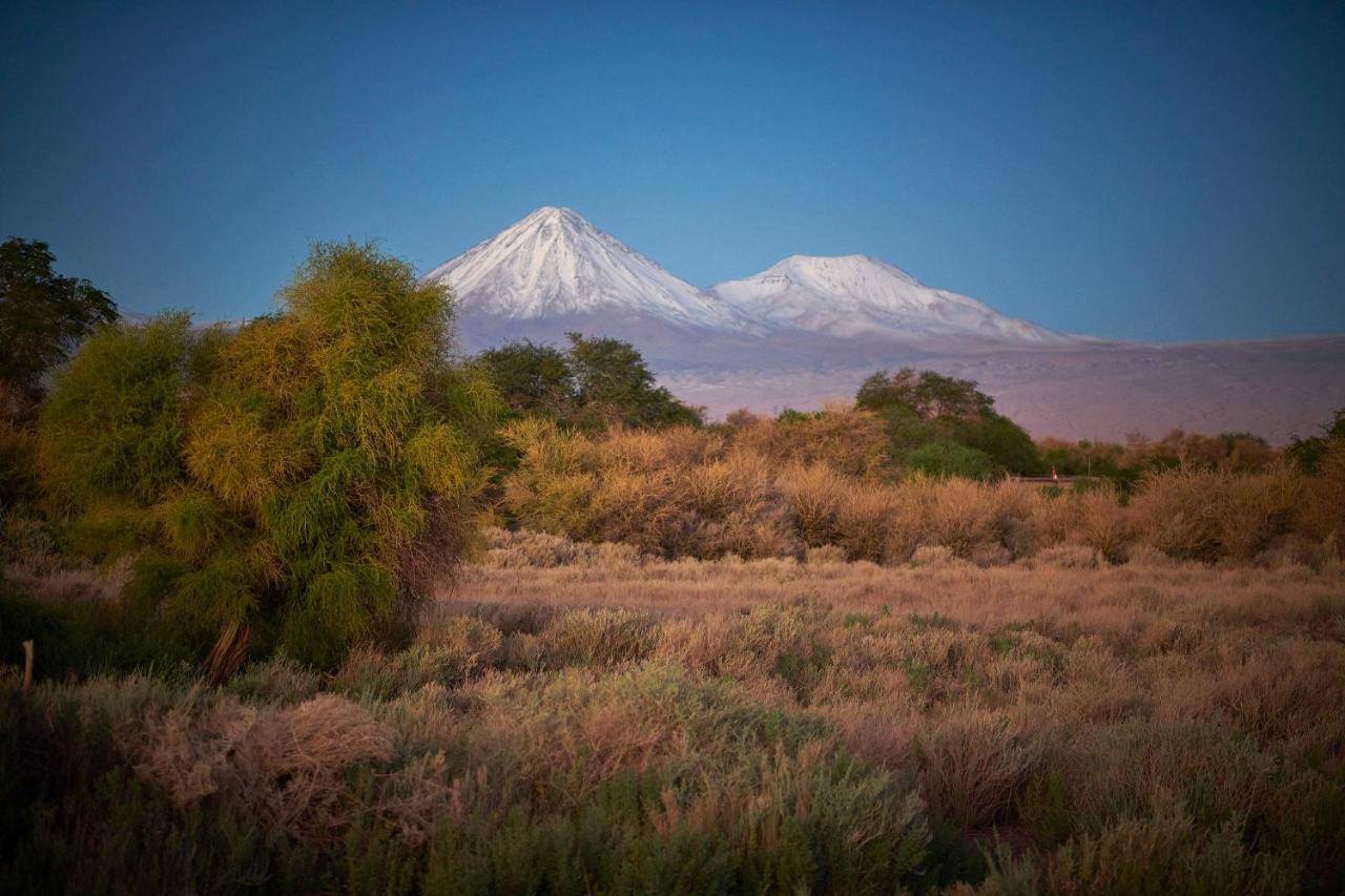 Casa Chincol Guest House San Pedro de Atacama Exterior photo